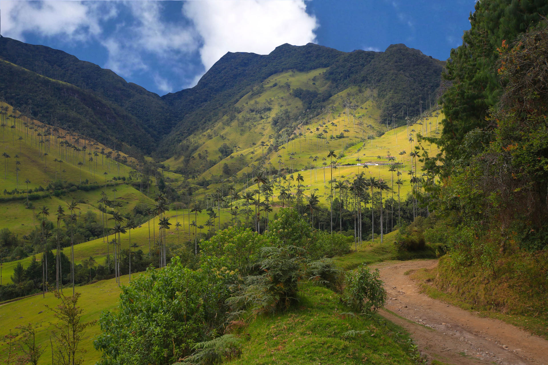 Mono 500 road trip Colombie paysages