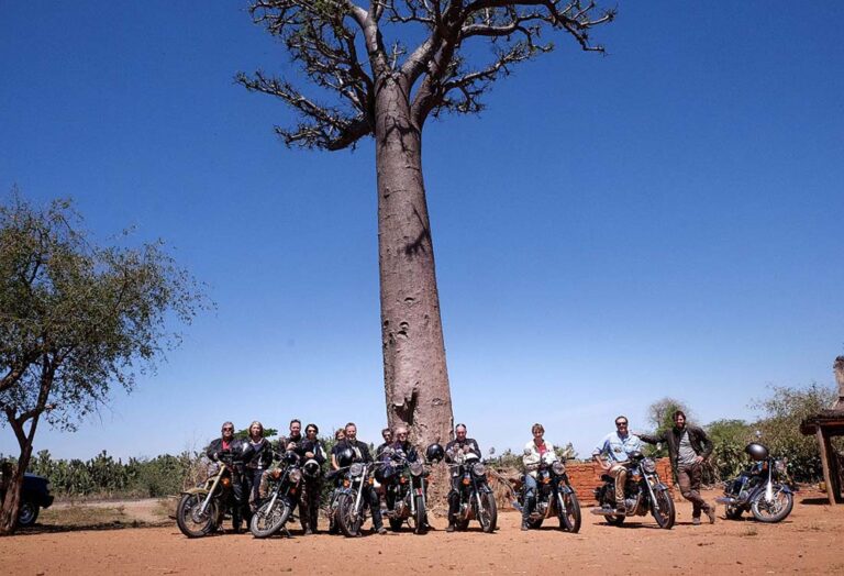 Groupe de motards Mono 500 et leurs Royal Enfield au pied d'un baobab à Madagascar